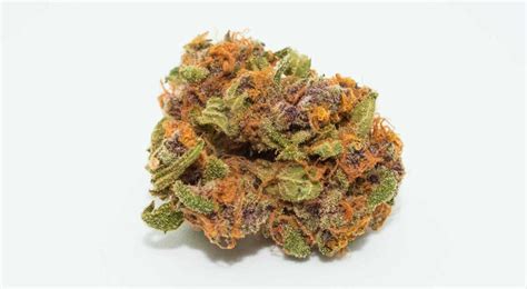 Dior Pink Kush Marijuana Strain Information & Reviews 